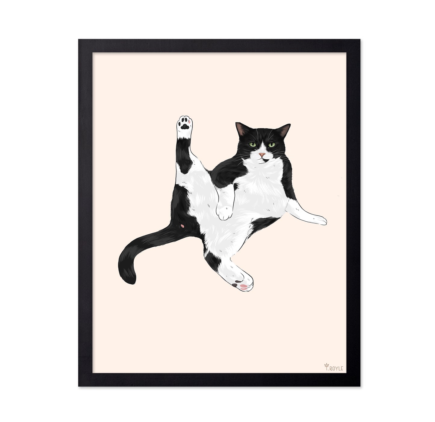 Playful Stretch Cat