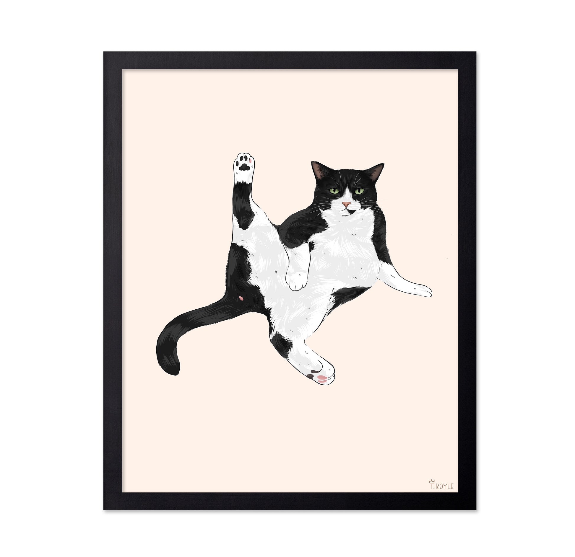 Playful Stretch Cat