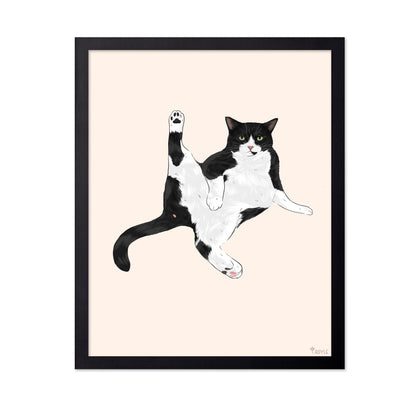 Playful Stretch Cat