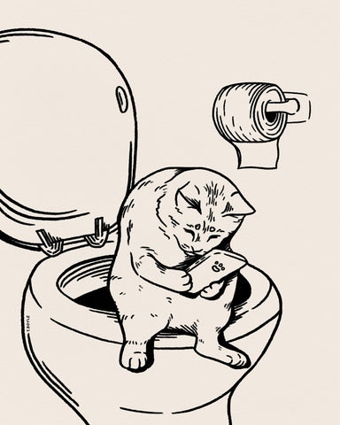 Cat Toilet Phone