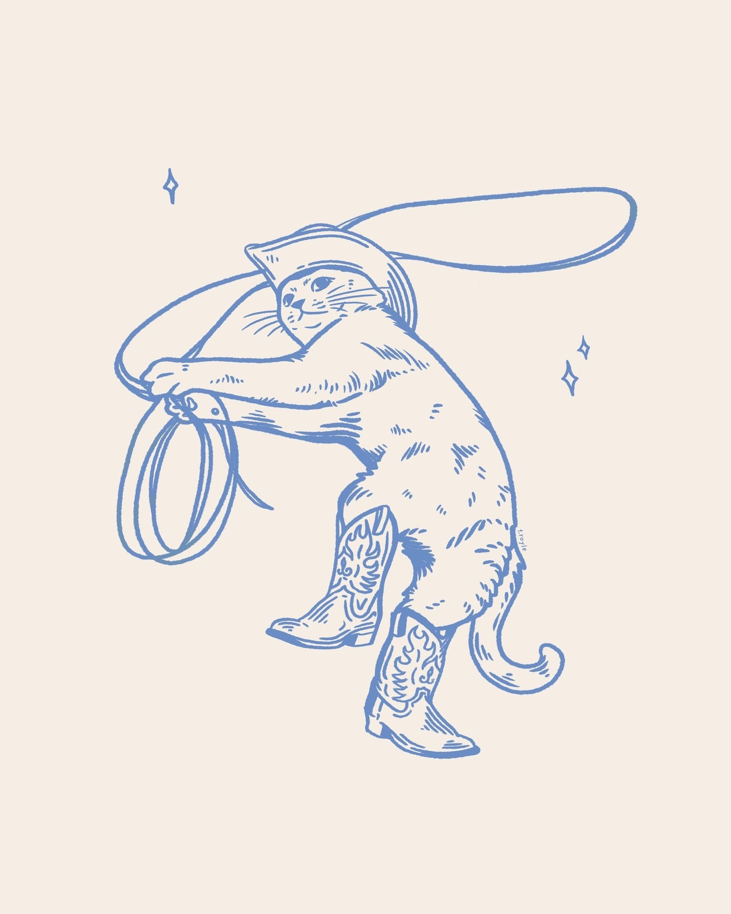 Rodeo Cat Lasso