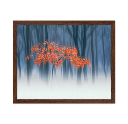 Red Leaves Blur Tree