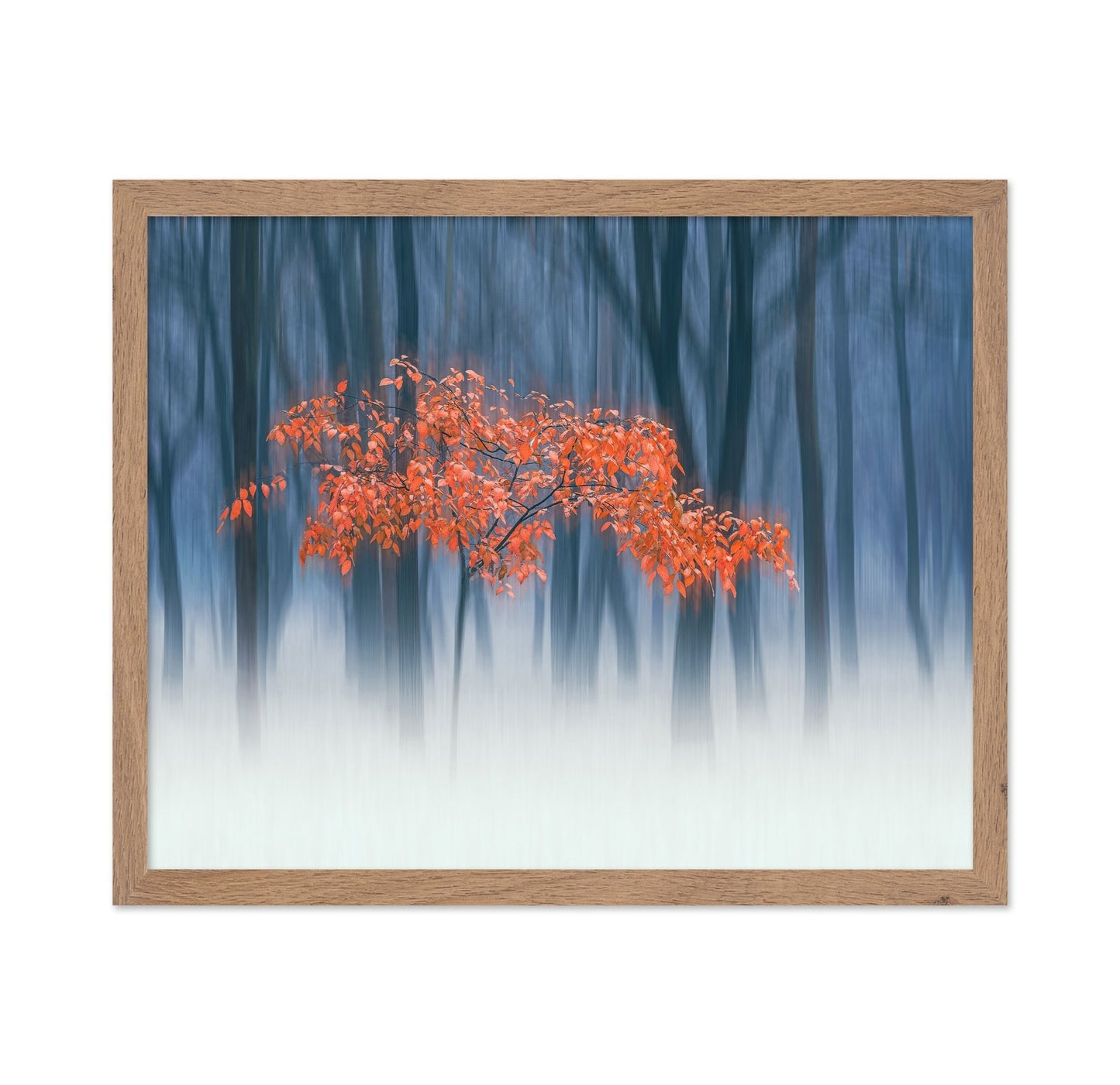 Red Leaves Blur Tree