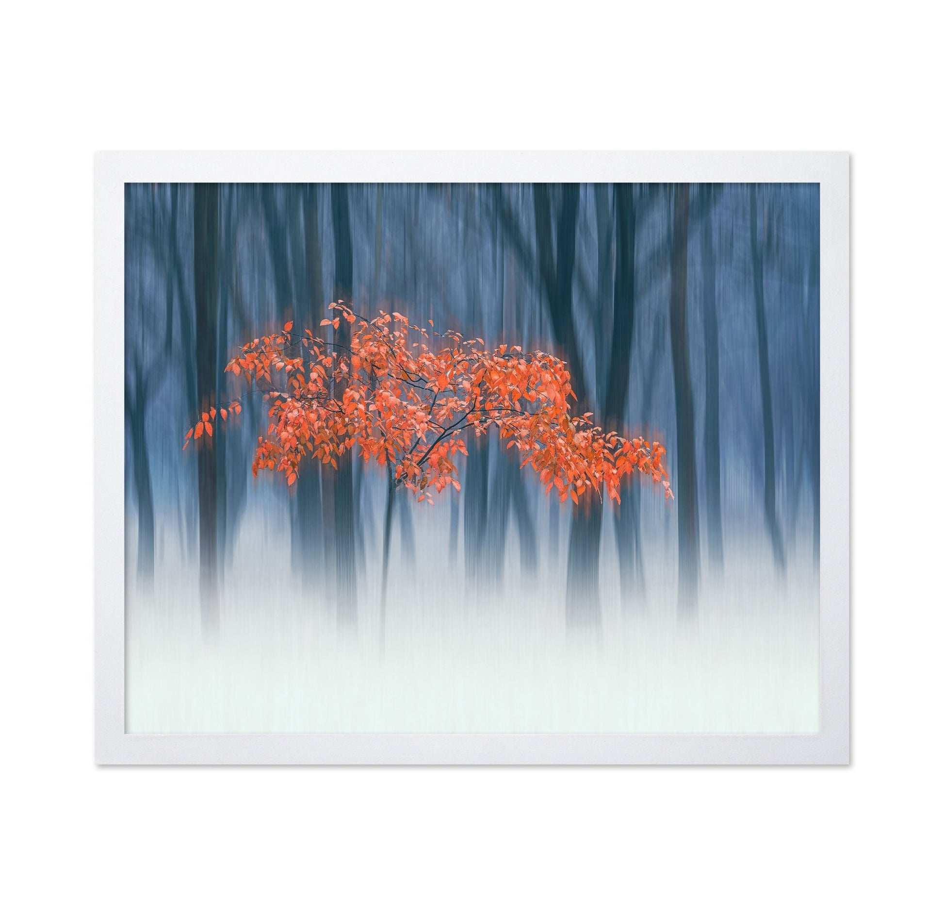 Red Leaves Blur Tree