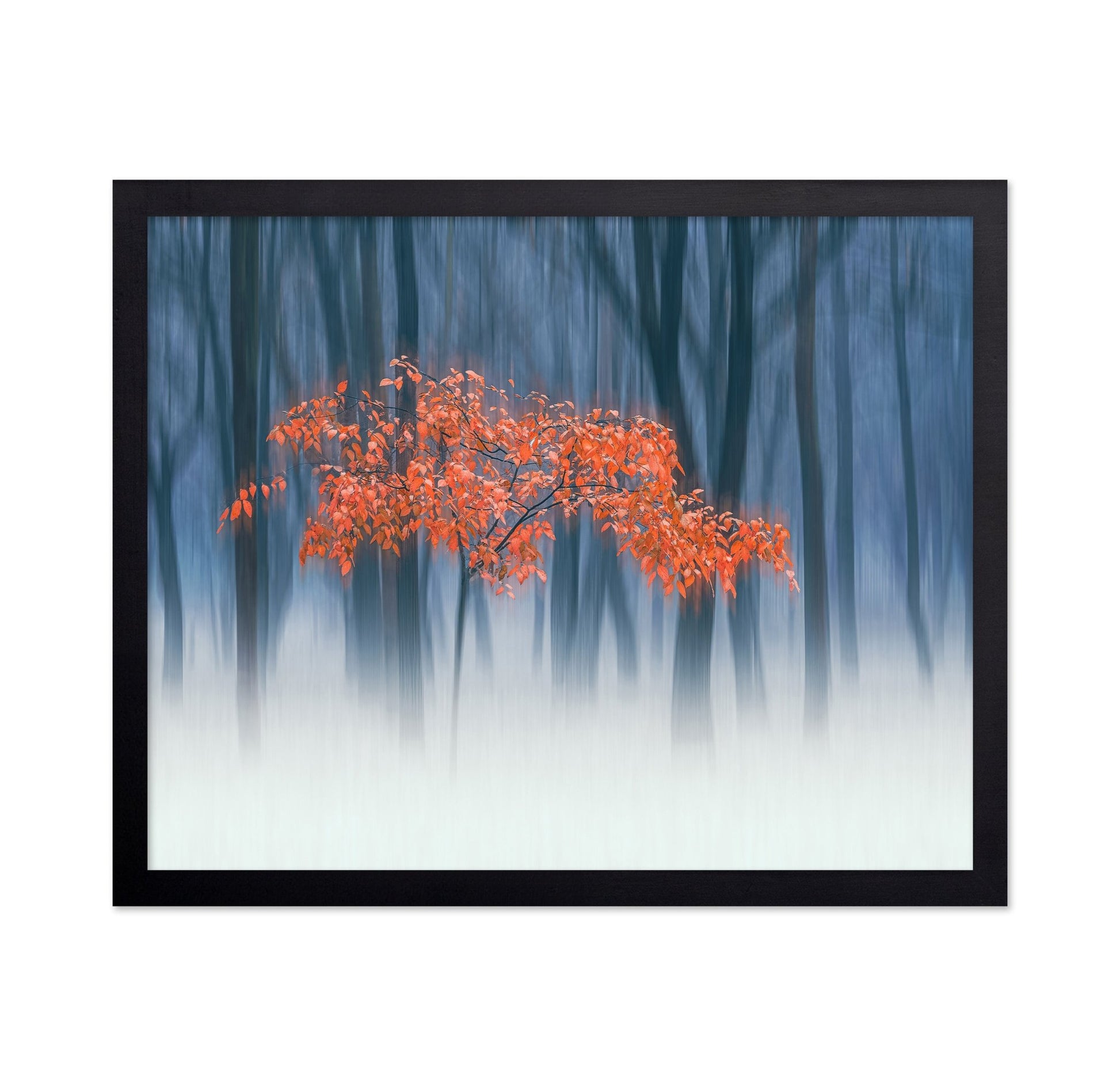 Red Leaves Blur Tree