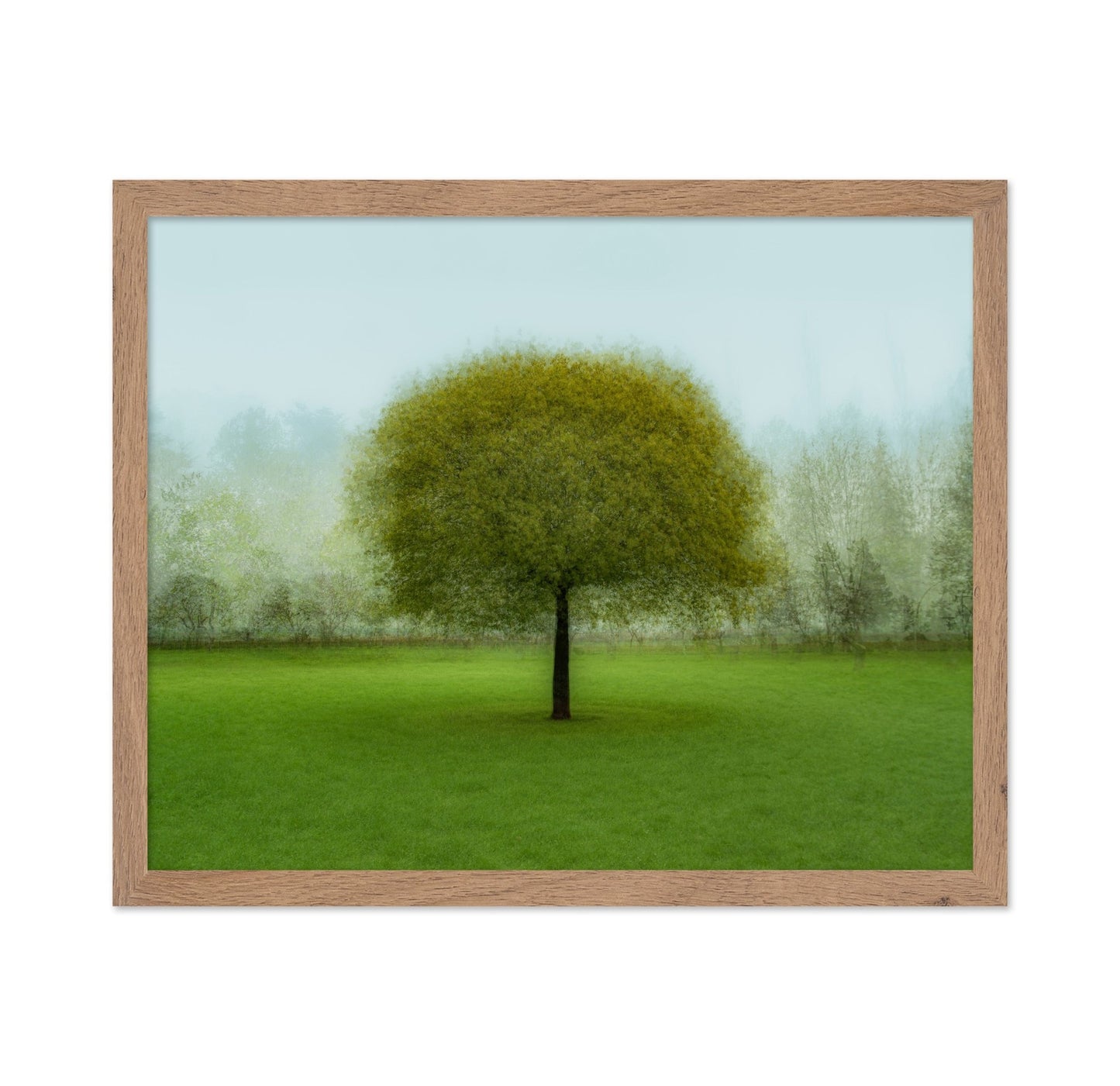 Misty Green Tree