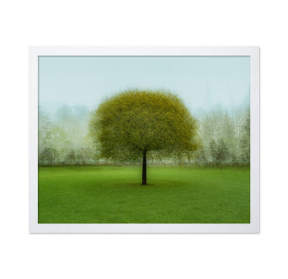 Misty Green Tree