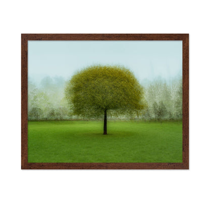 Misty Green Tree
