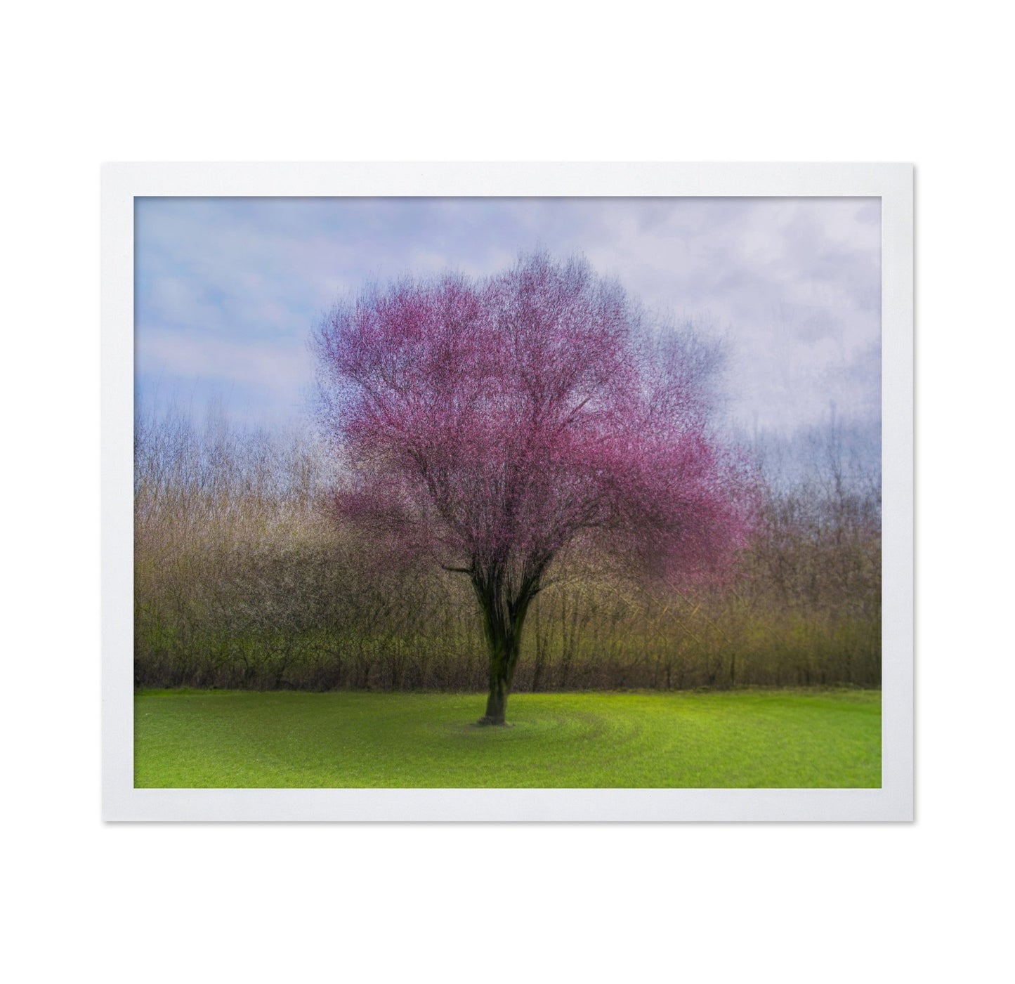 Pink Blossom Tree No2