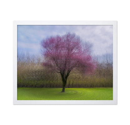 Pink Blossom Tree No2