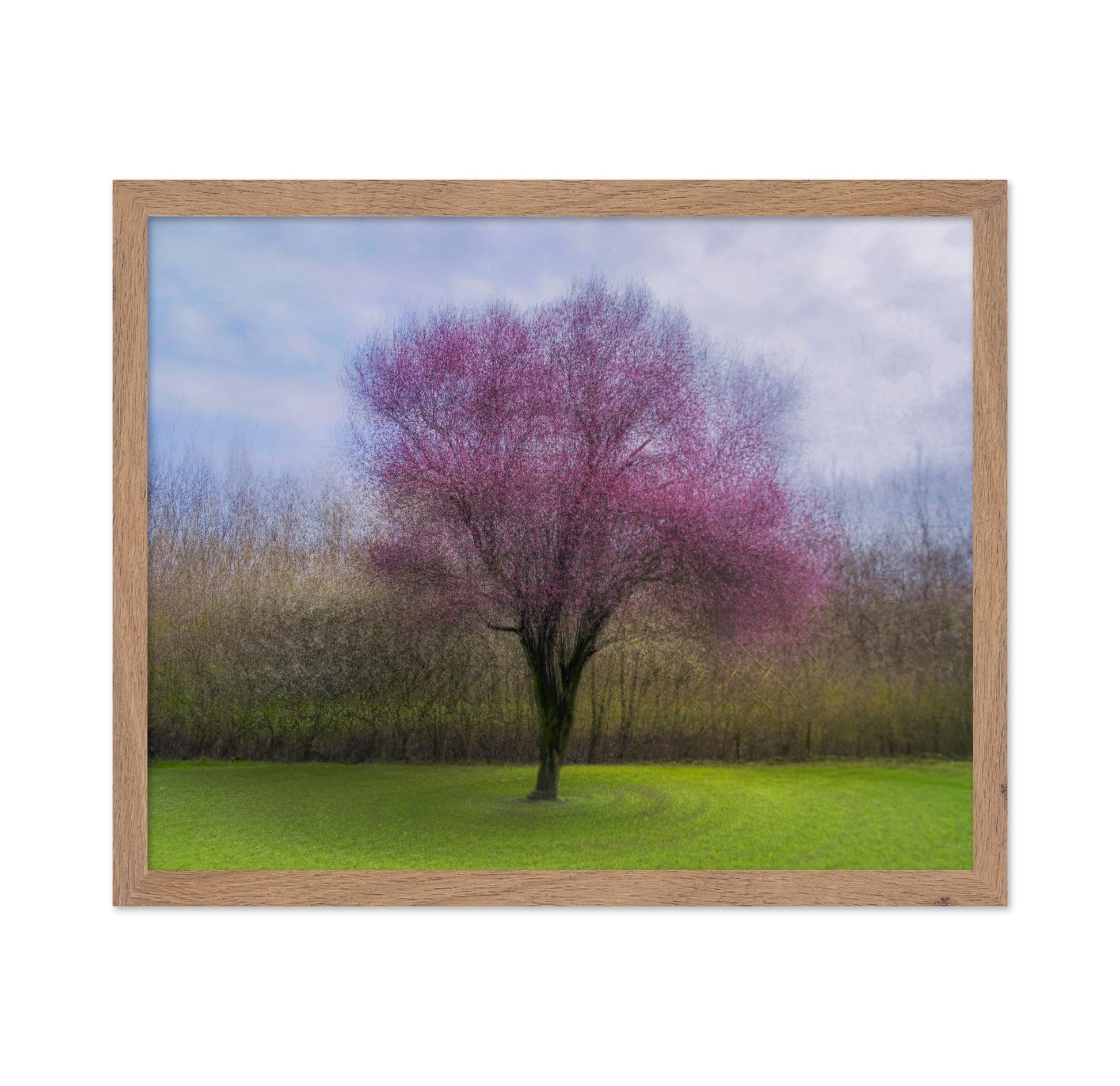 Pink Blossom Tree No2