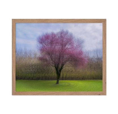 Pink Blossom Tree No2