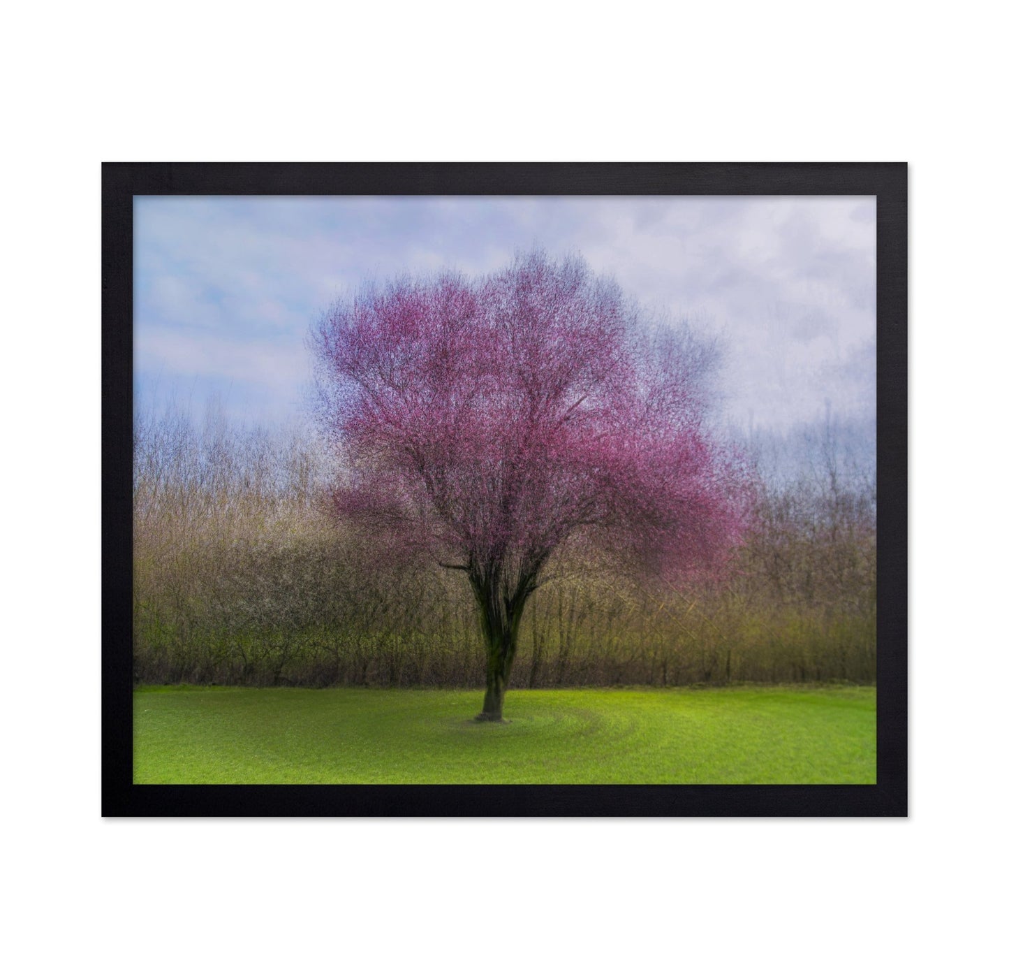 Pink Blossom Tree No2