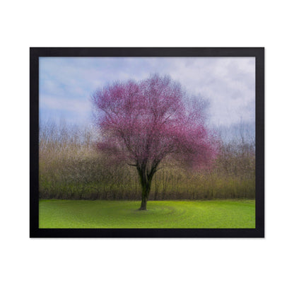 Pink Blossom Tree No2
