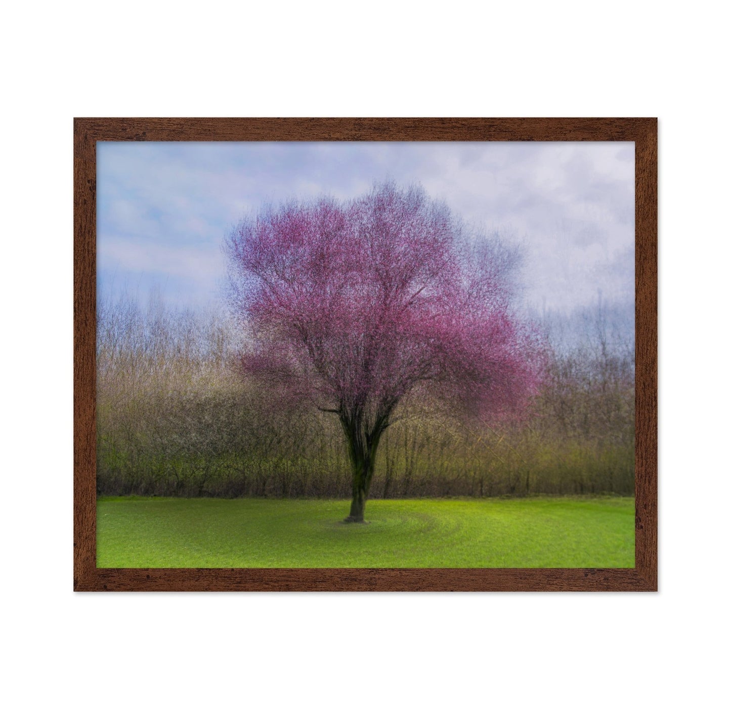 Pink Blossom Tree No2