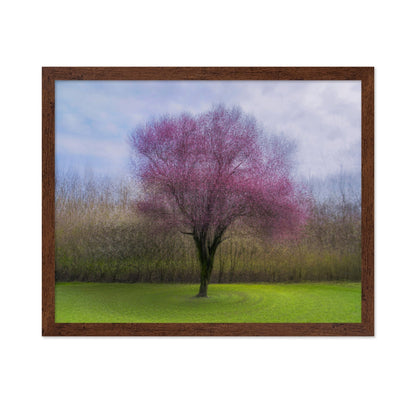 Pink Blossom Tree No2