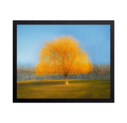 Golden Dream Tree