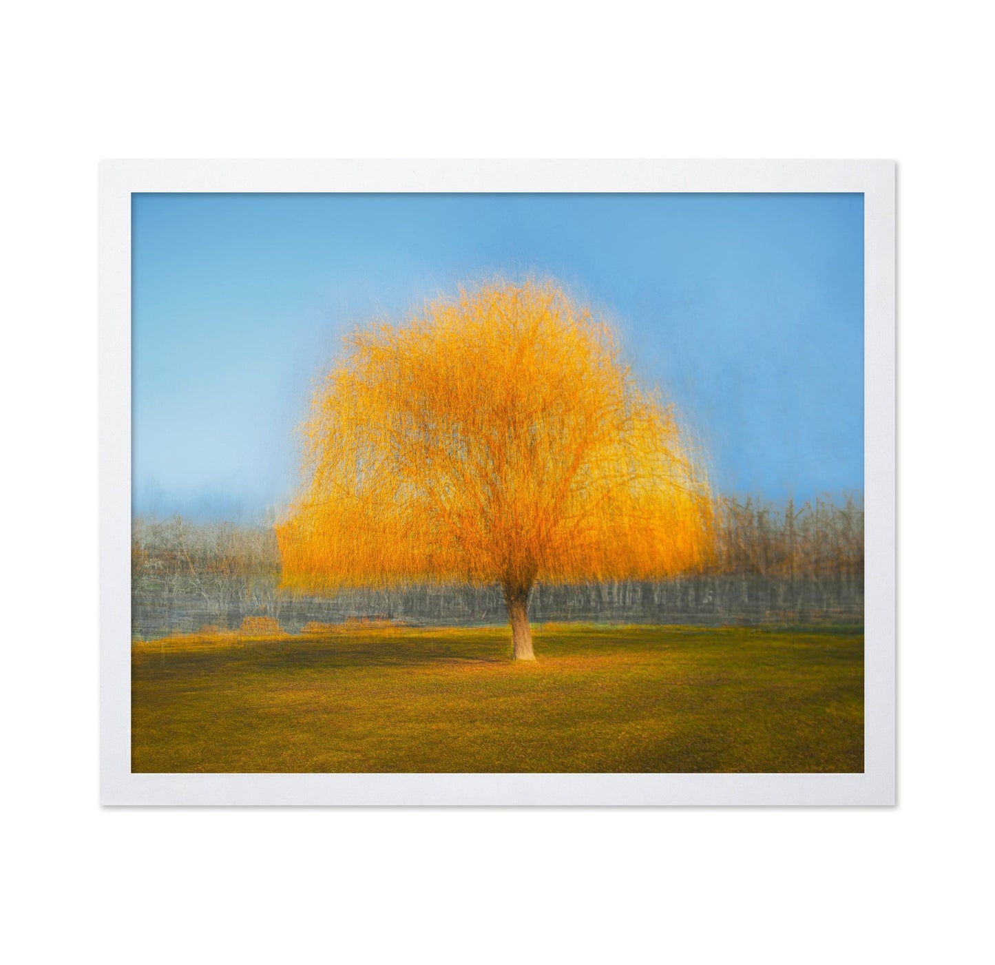 Golden Dream Tree