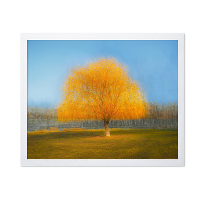 Golden Dream Tree