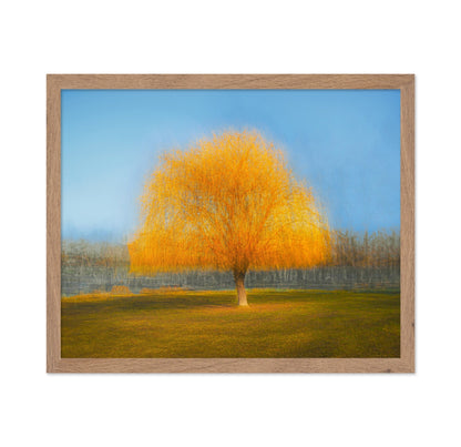 Golden Dream Tree