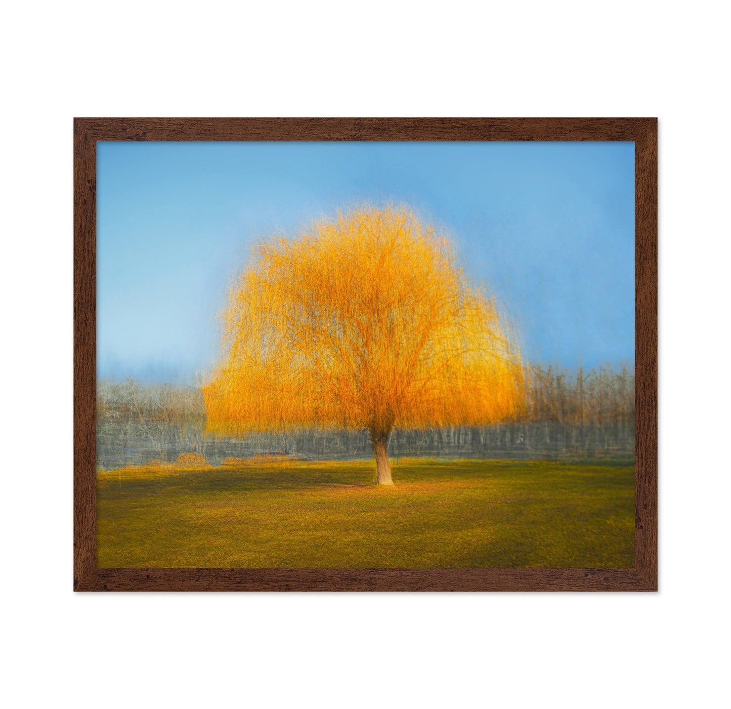 Golden Dream Tree