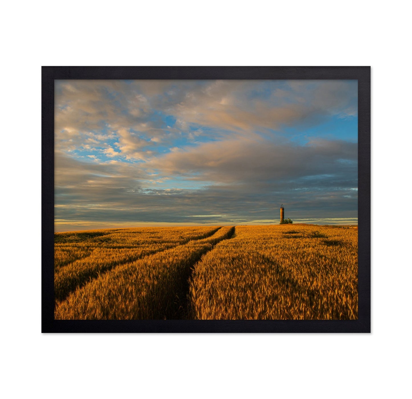 Golden Wheat Horizon