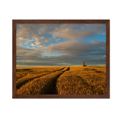 Golden Wheat Horizon