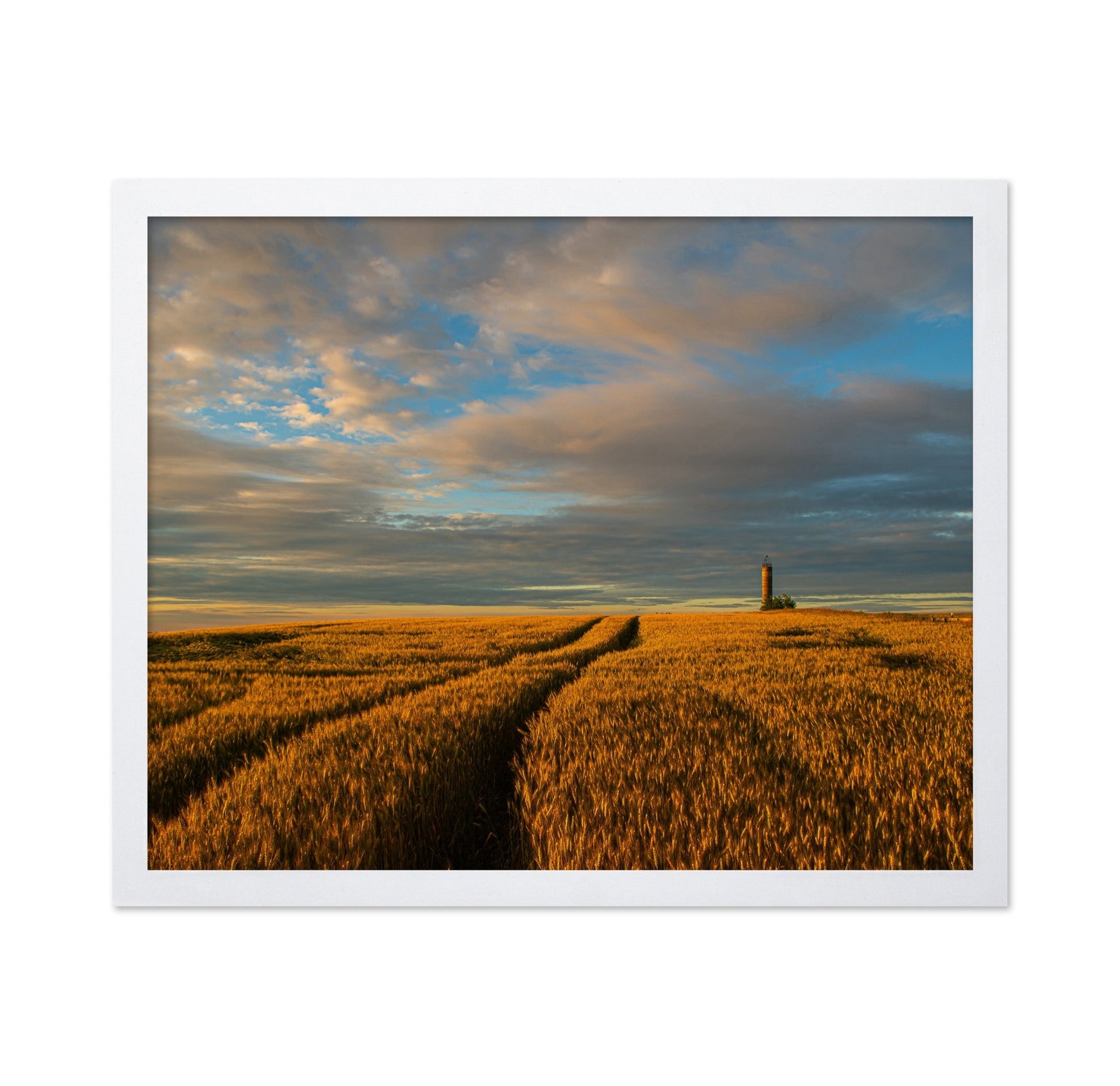 Golden Wheat Horizon