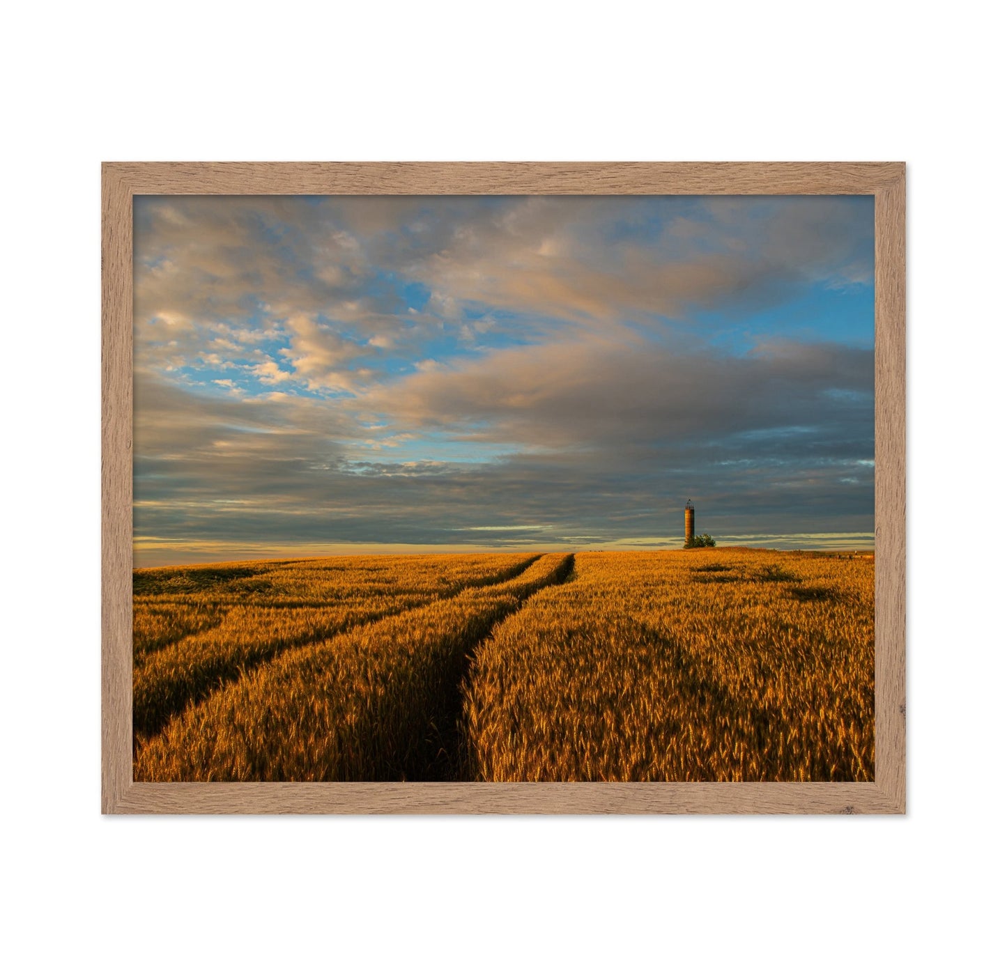Golden Wheat Horizon