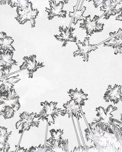 Palm Trees Sky View