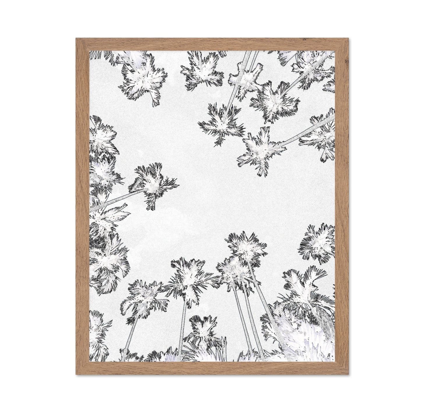 Palm Trees Sky View