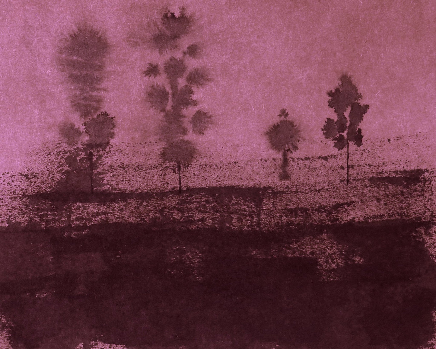 Dusky Tree Horizon