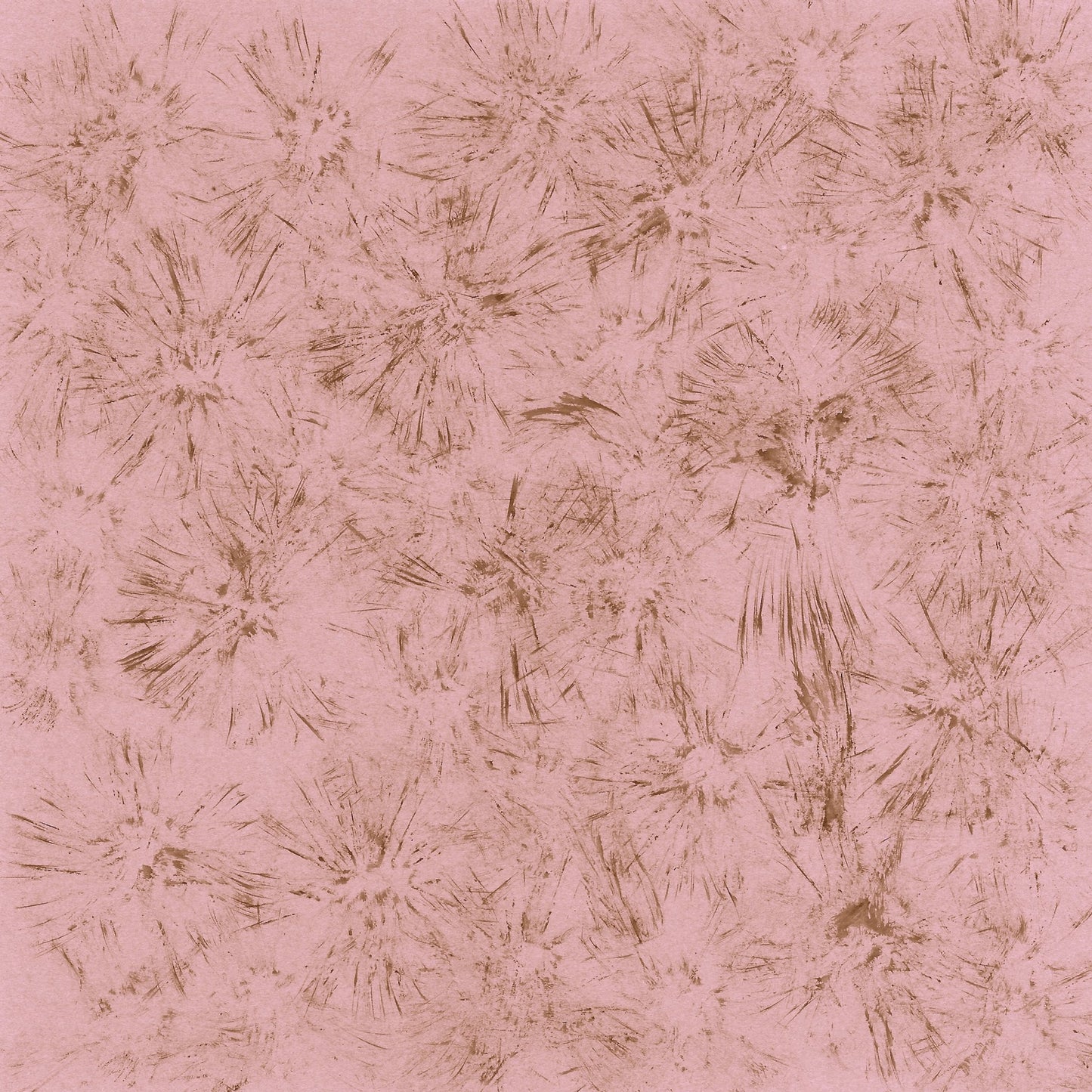 Blush Starburst Pattern