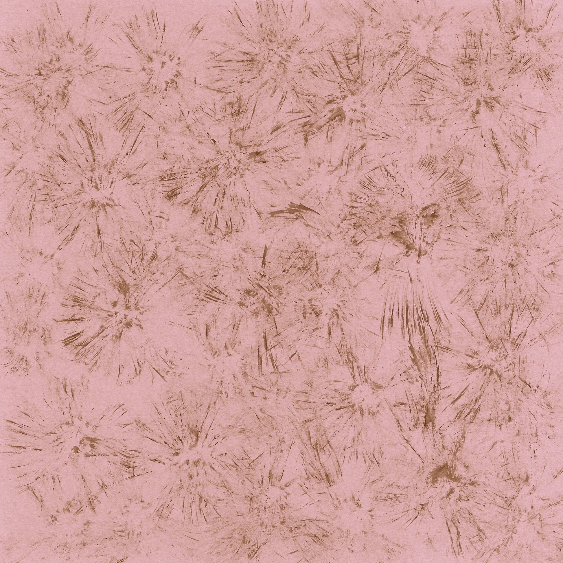 Blush Starburst Pattern