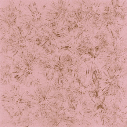 Blush Starburst Pattern