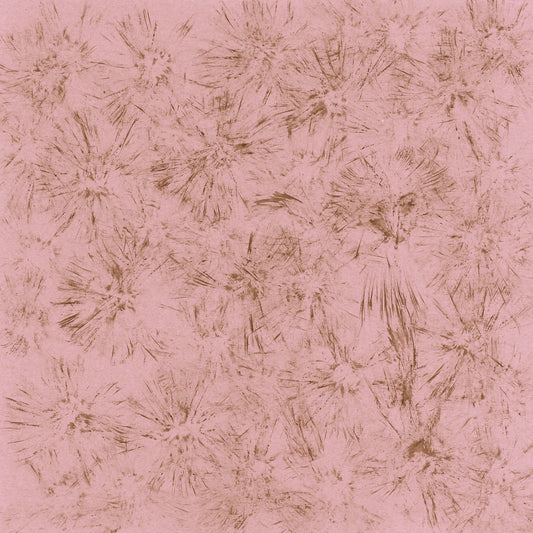 Blush Starburst Pattern