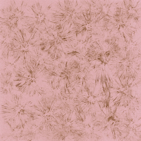Blush Starburst Pattern