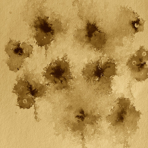 Sepia Bloom Cluster
