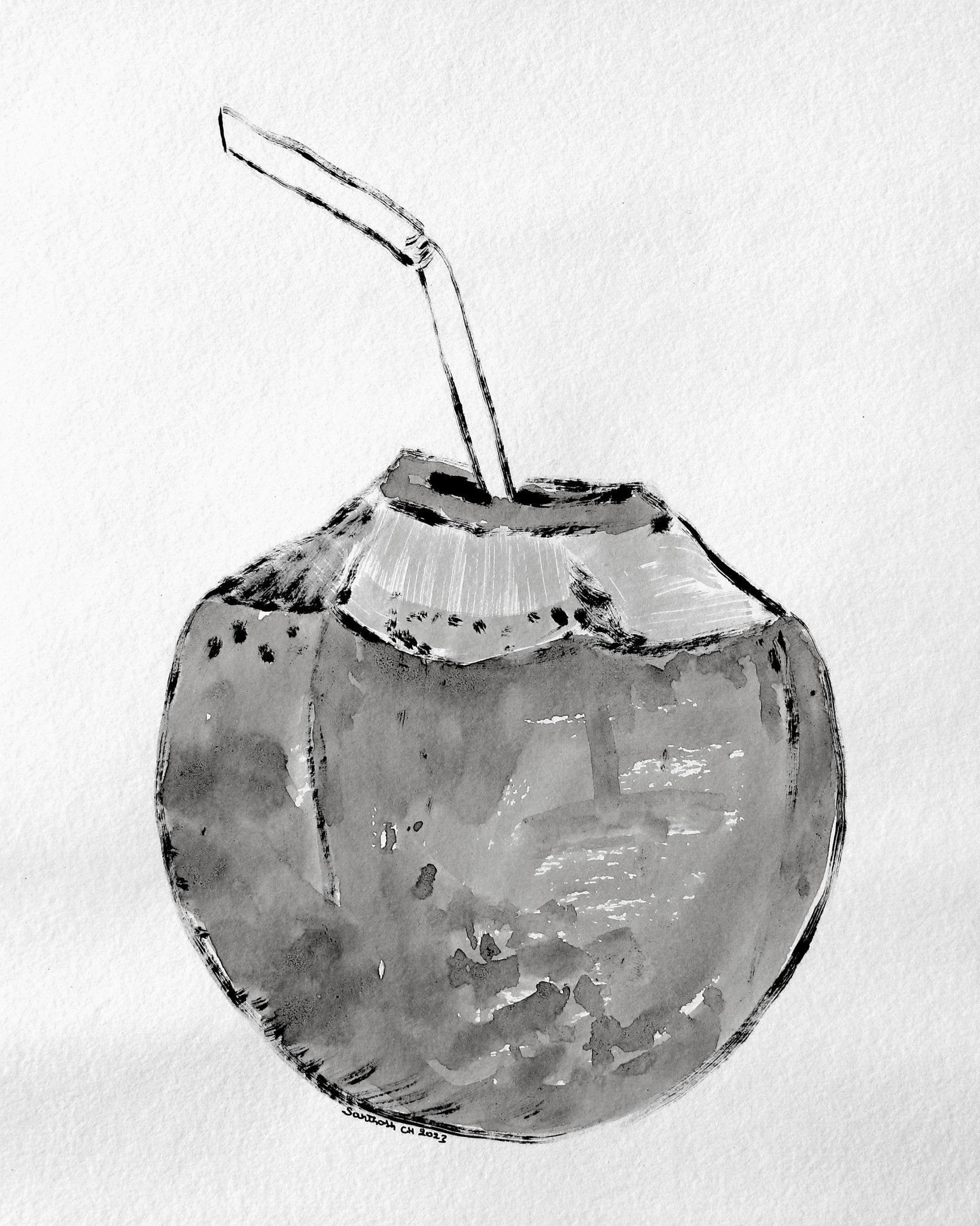 Coconut Drink Sketch