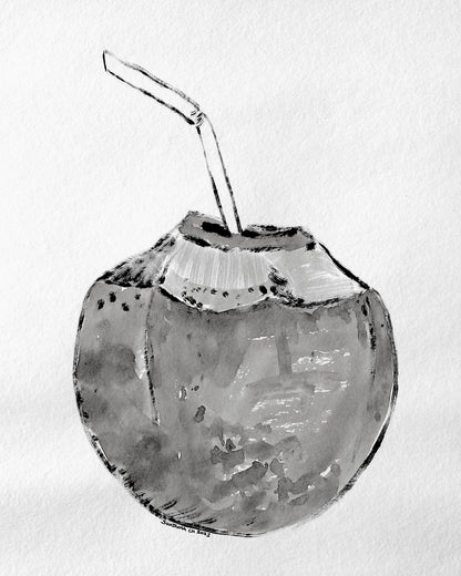 Coconut Drink Sketch