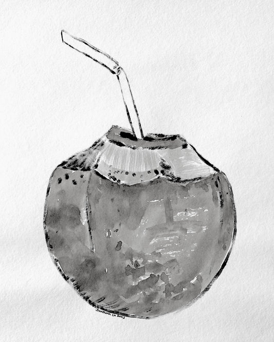 Coconut Drink Sketch