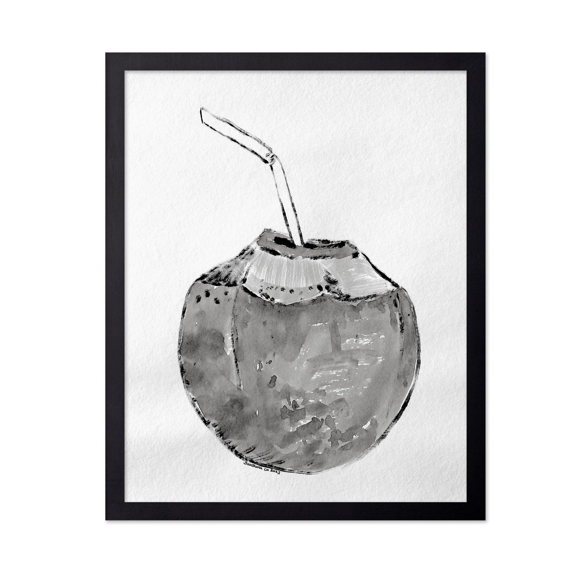 Coconut Drink Sketch