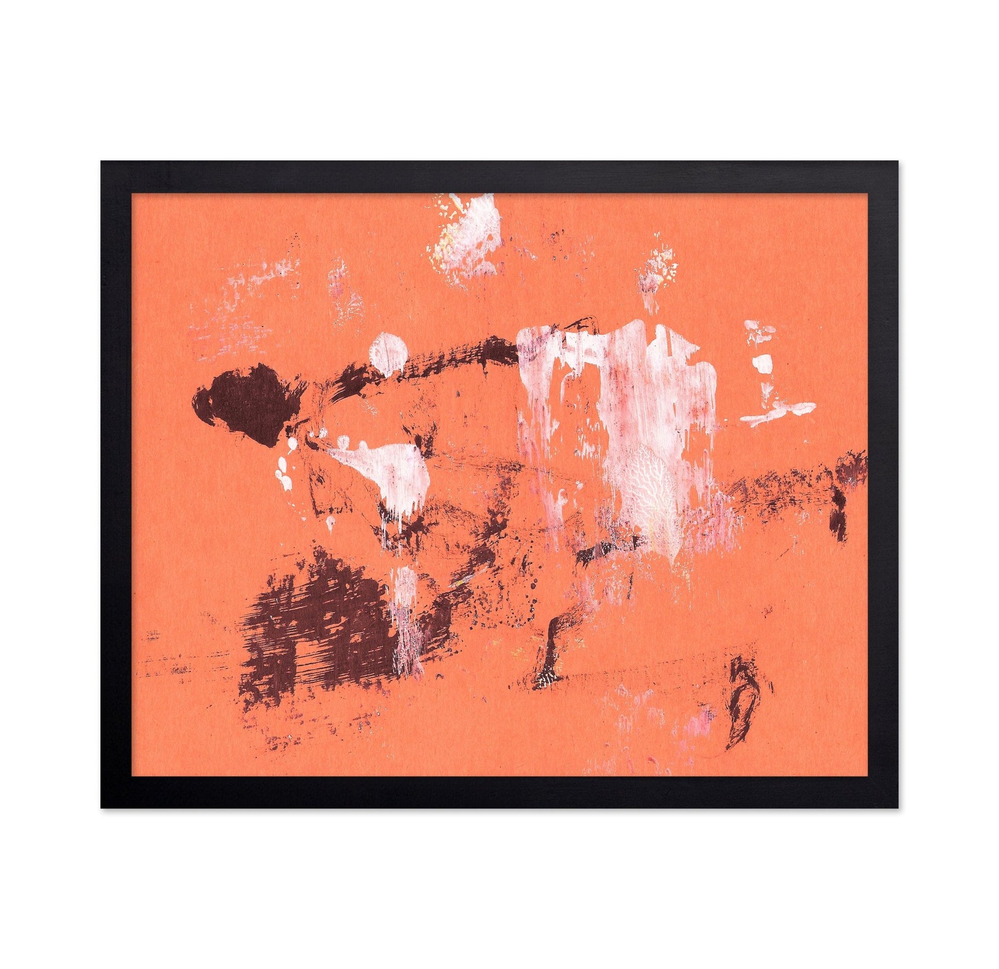 Coral Abstract Motion