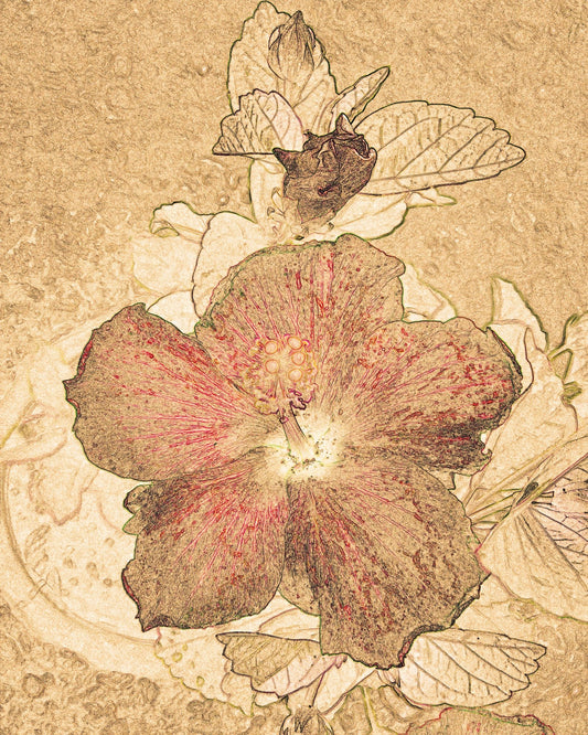 Vintage Floral Sketch No2
