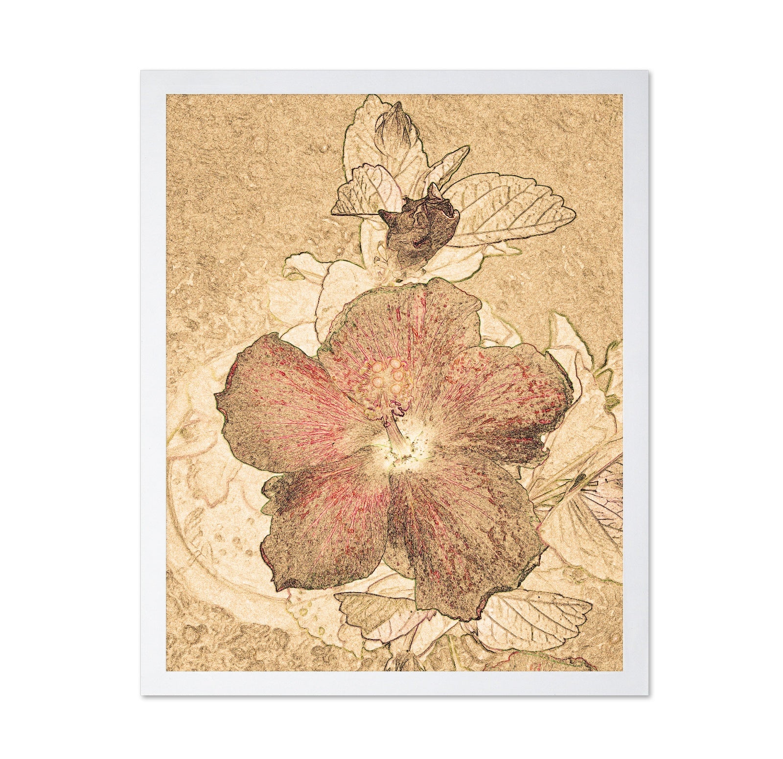 Vintage Floral Sketch No2