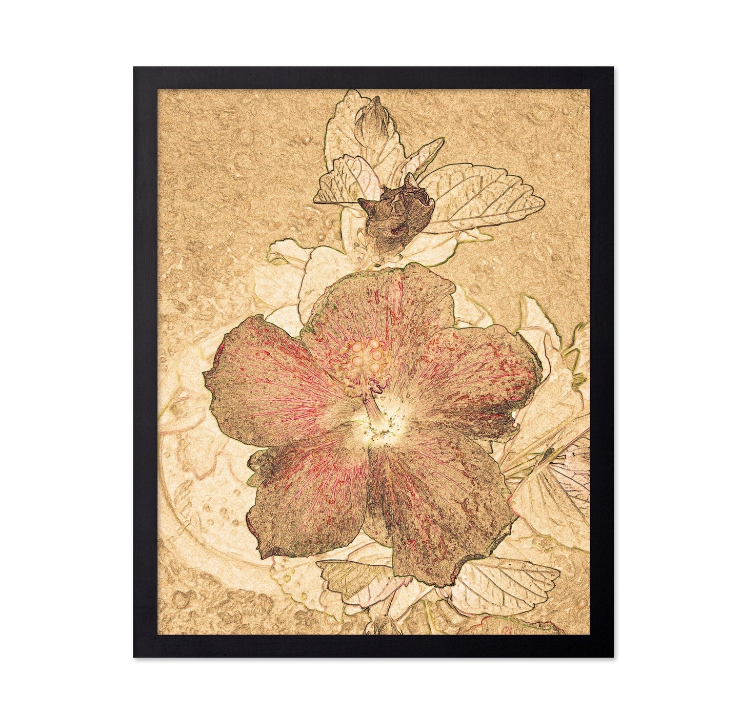 Vintage Floral Sketch No2