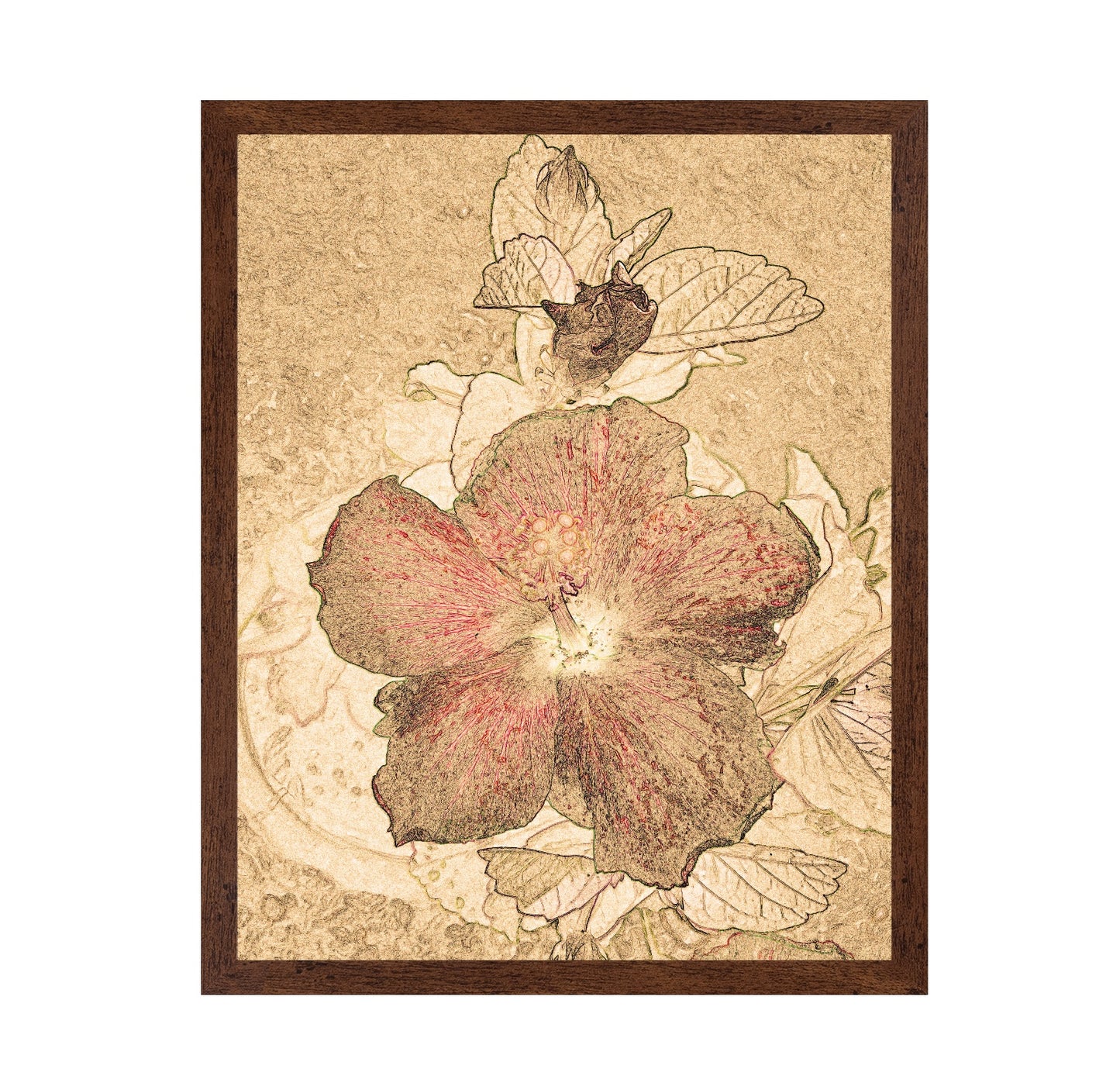 Vintage Floral Sketch No2