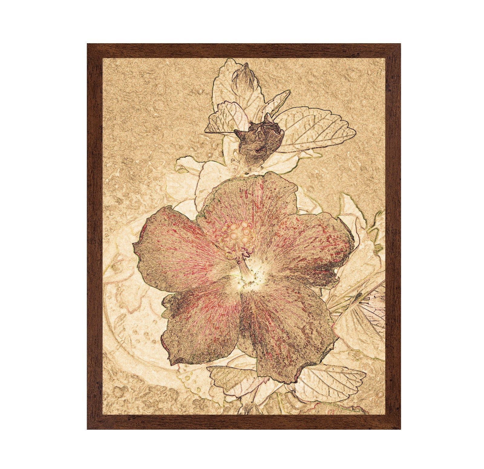 Vintage Floral Sketch No2