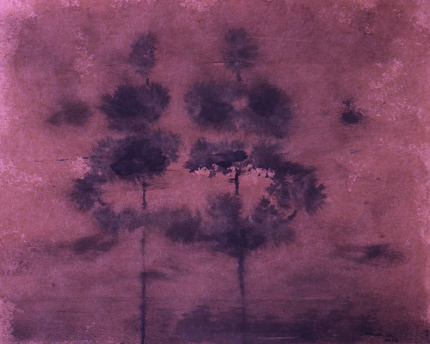 Purple Mist Grove