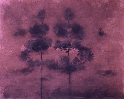 Purple Mist Grove